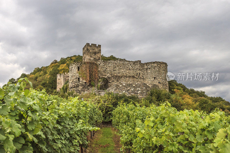 Wachau, Hinterhaus堡垒遗址-斯皮茨(奥地利)